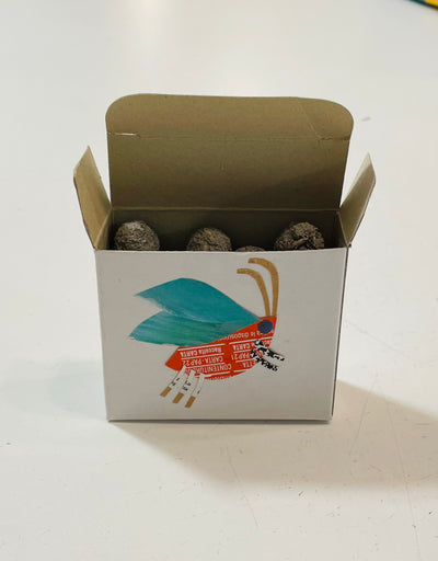 sassi scatoline di sfere di semi